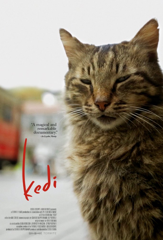 Kedi (Open Captioned)