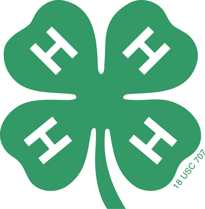 Hokie Bugfest 4-H Costume Contest