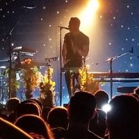 owl-city